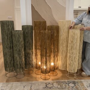 کنار سالنی رافیا