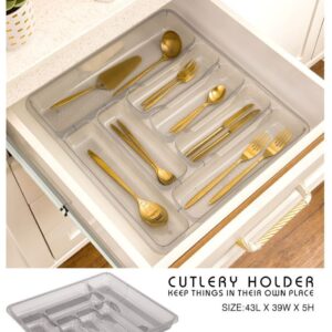 لیمون جاقاشقی شفاف